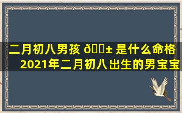 二月初八男孩 🐱 是什么命格「2021年二月初八出生的男宝宝好不好」